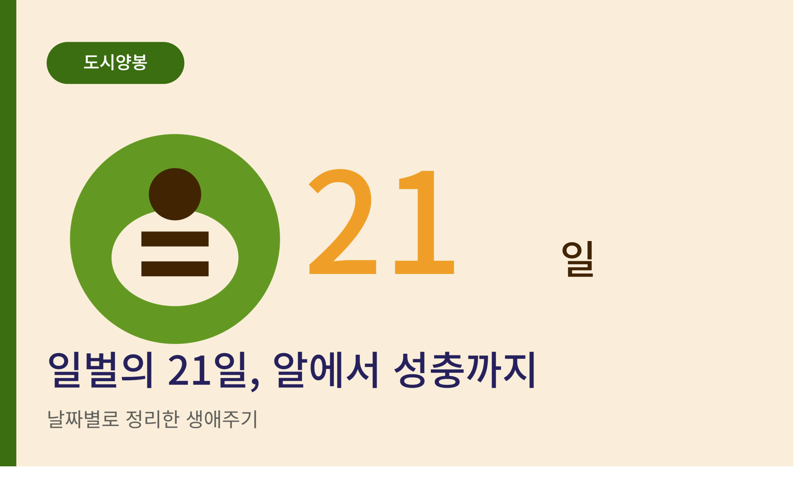도시양봉 썸네일