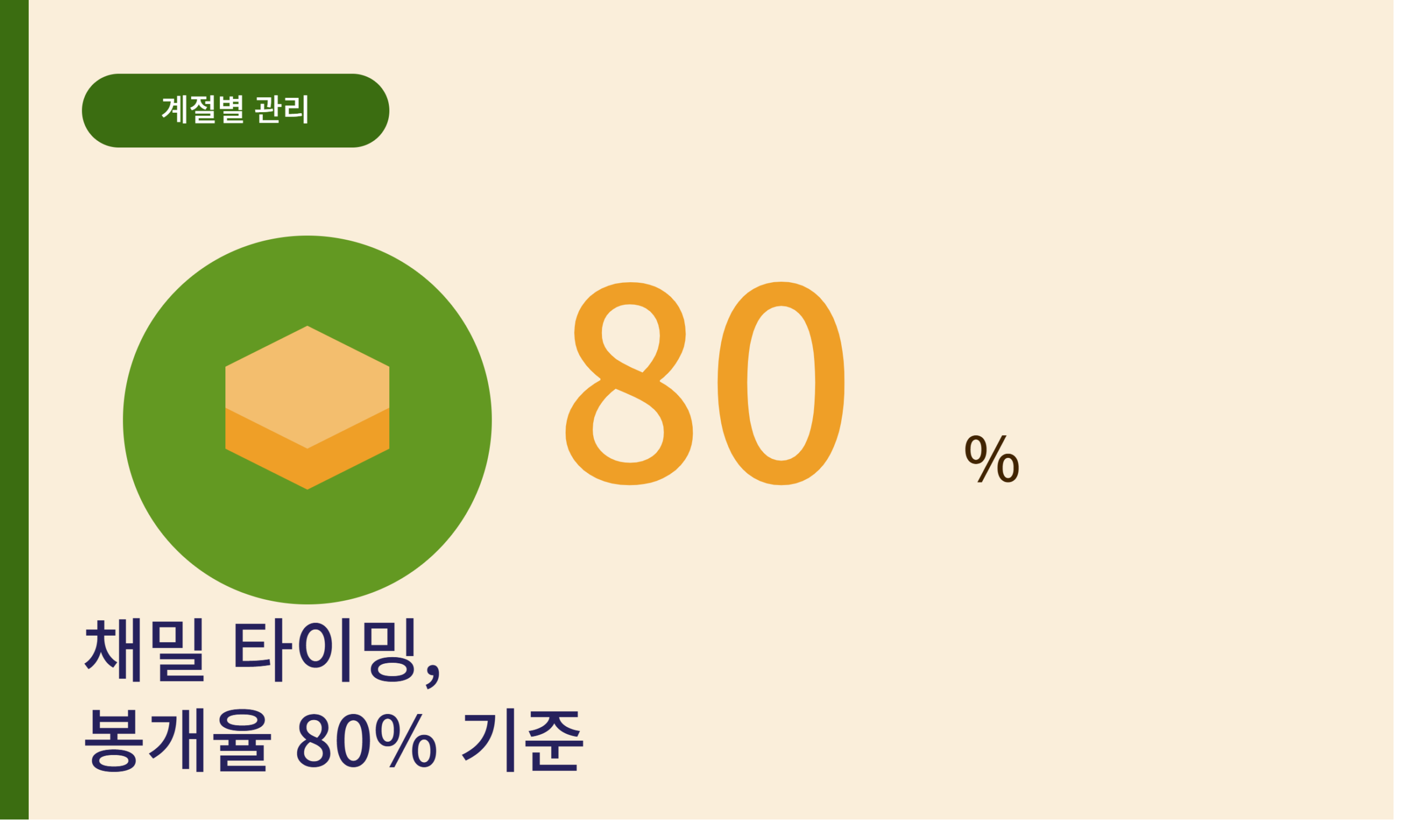 도시양봉 썸네일