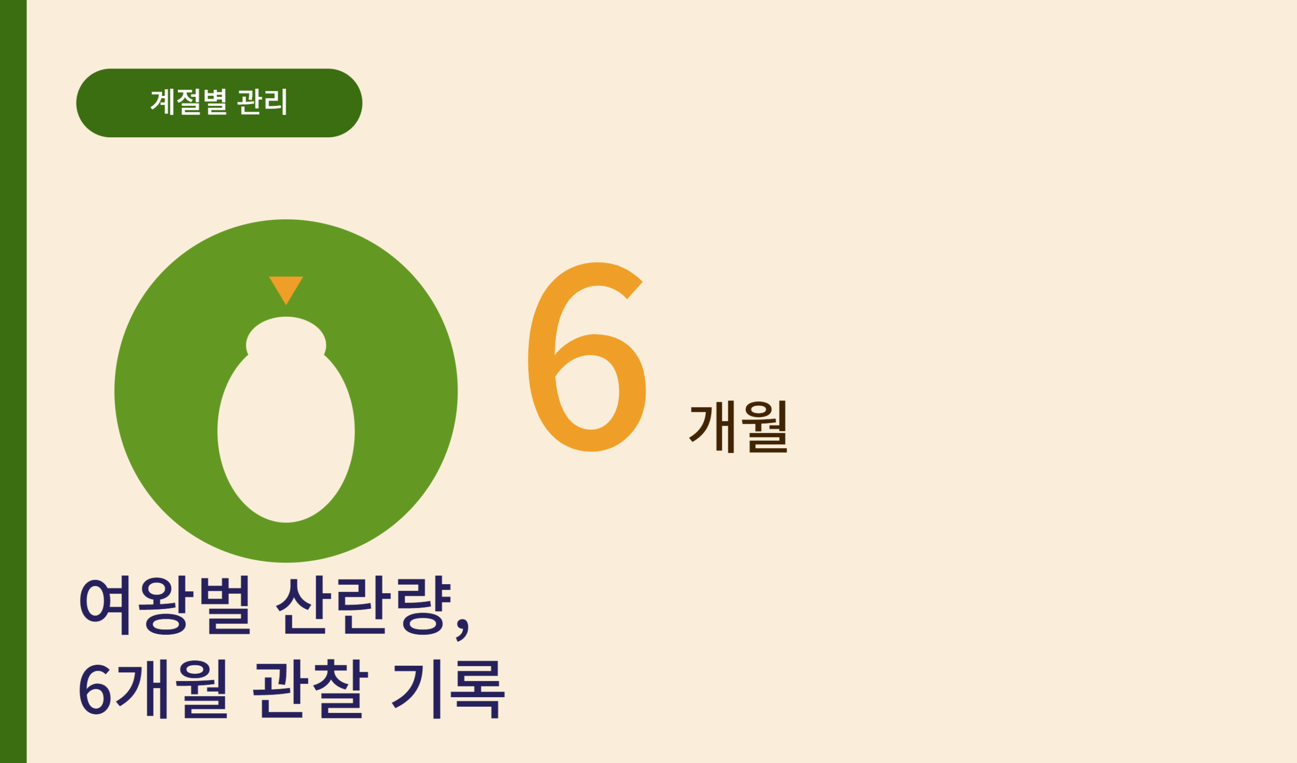 도시양봉 썸네일